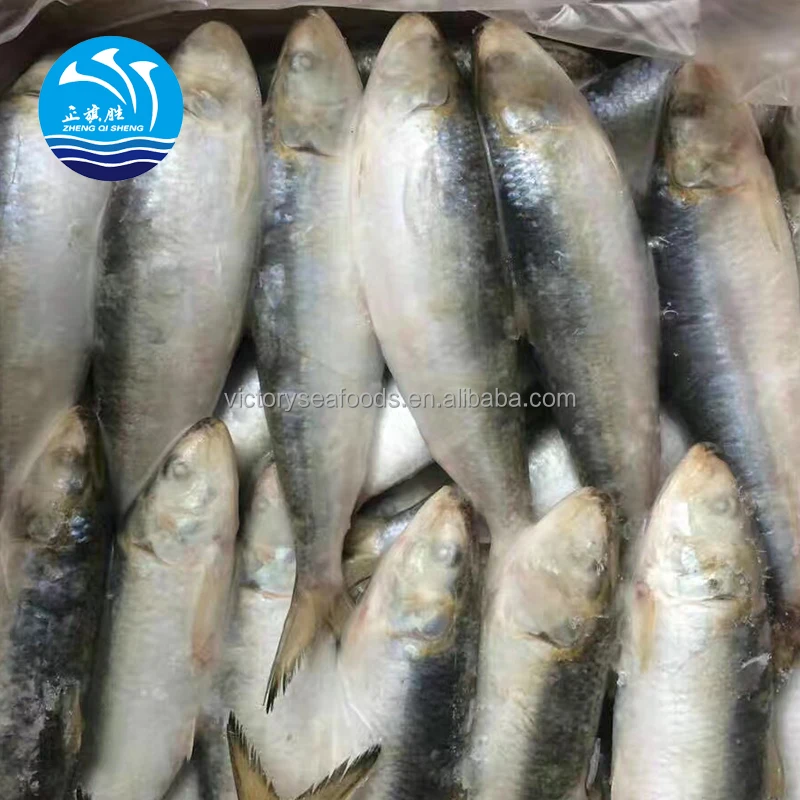 Frozen Sardine Fish Meal Dried Sardine Factory