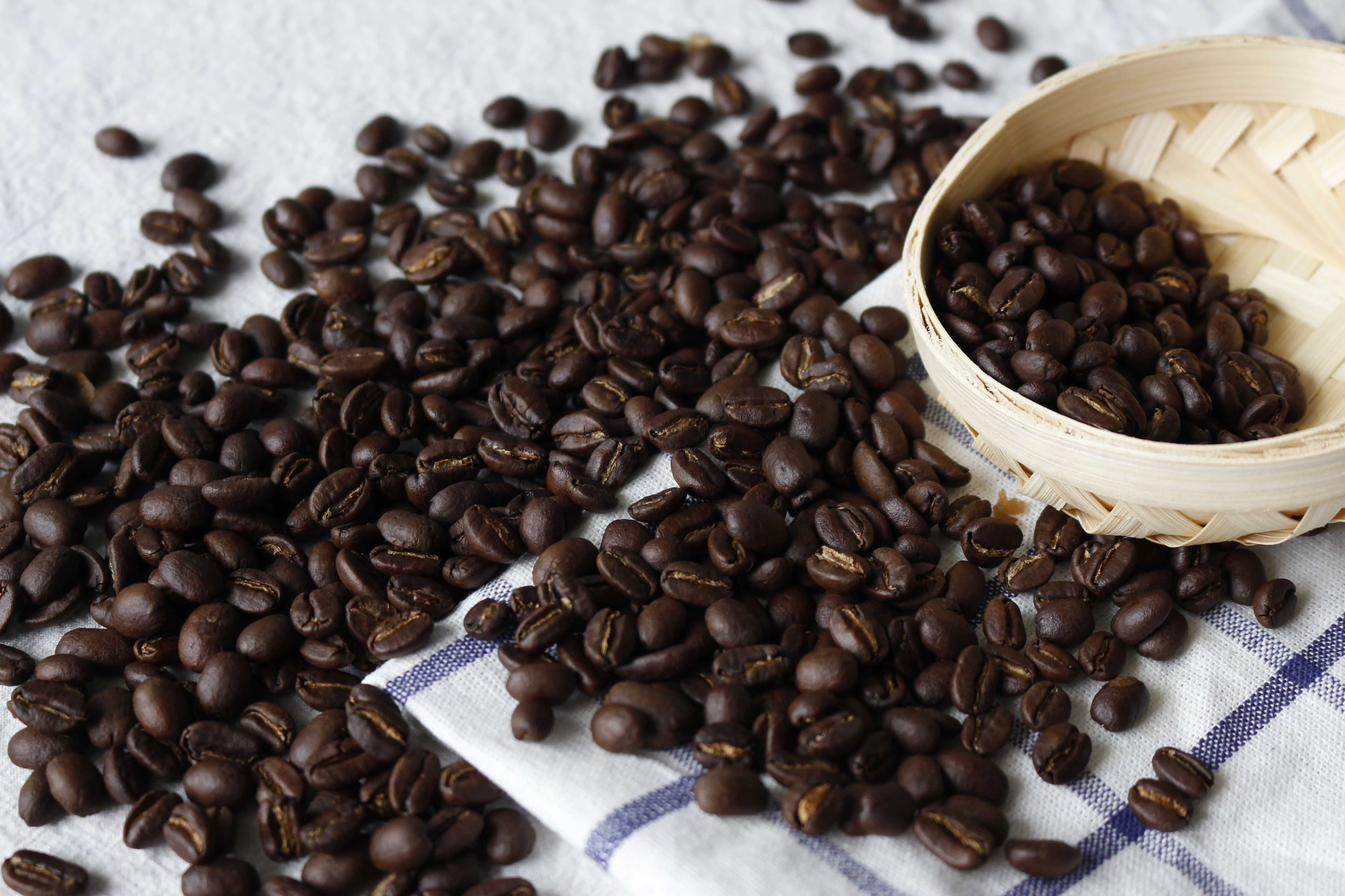 
Top Quality Grade AA Roasted Coffee Beans Sale cheap now 