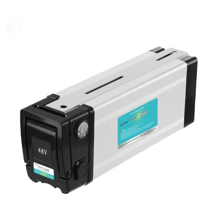 Customized Li Ion Lifepo4 48V 60Ah 40Ah 20Ah Lithium Battery Pack for Electric Bicycle