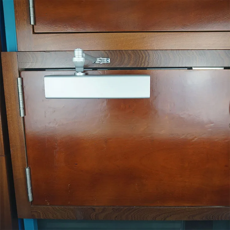 
High Quality Heavy Duty Hydraulic Door Closer Parts 40kg ~ 120kg Closing Doors Machine 