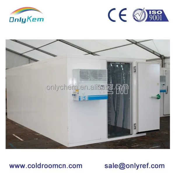 Свежие яйца хранения ходить в холодильная