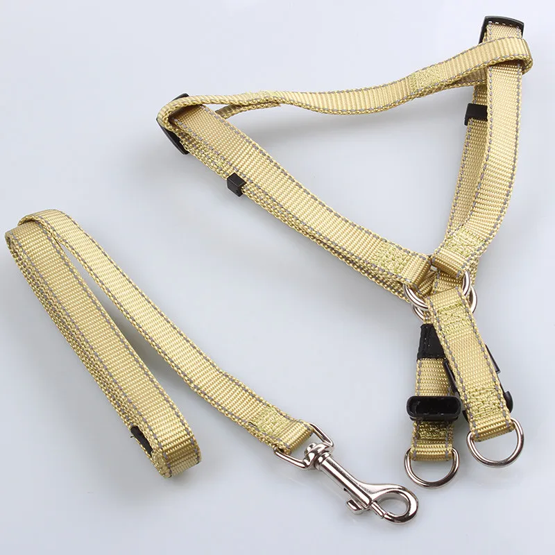 Duraflex Buckle Nylon webbing Dog Training Collars
