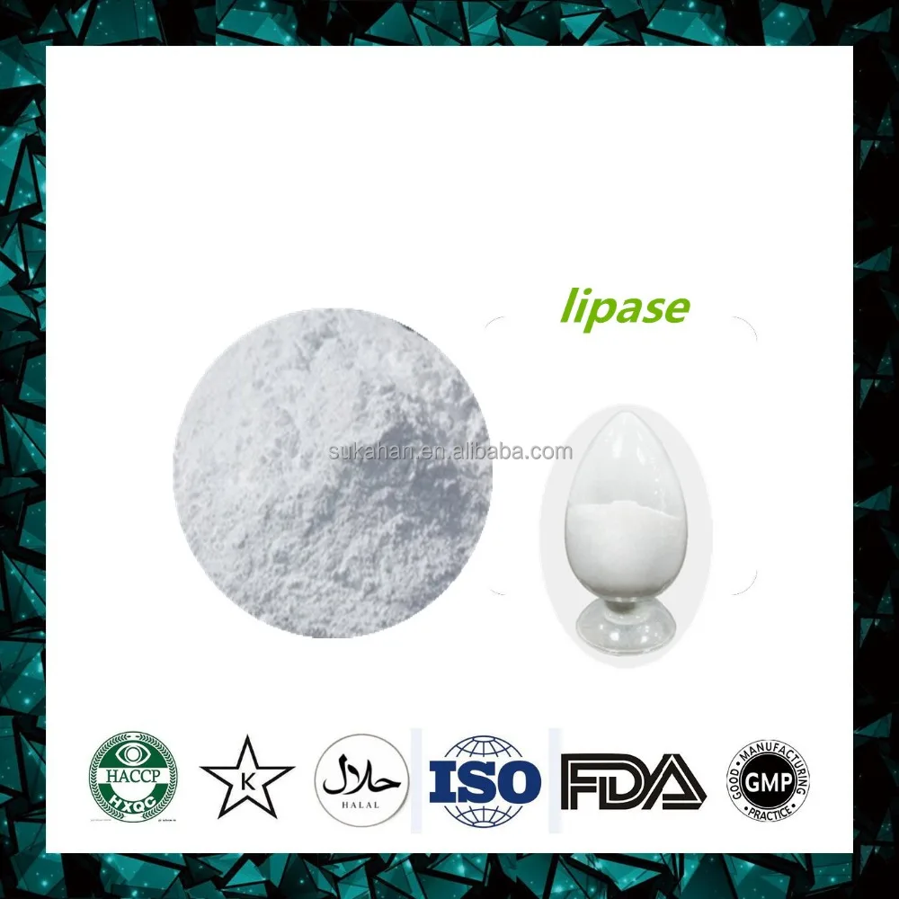 Powder Enzyme Alkaline Lipase for Noodles