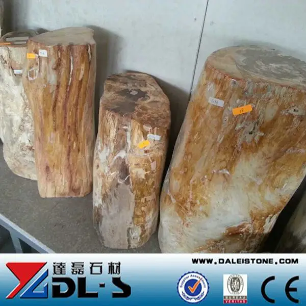 Petrified fossilzed wood stone high value luxury natural stone for collection