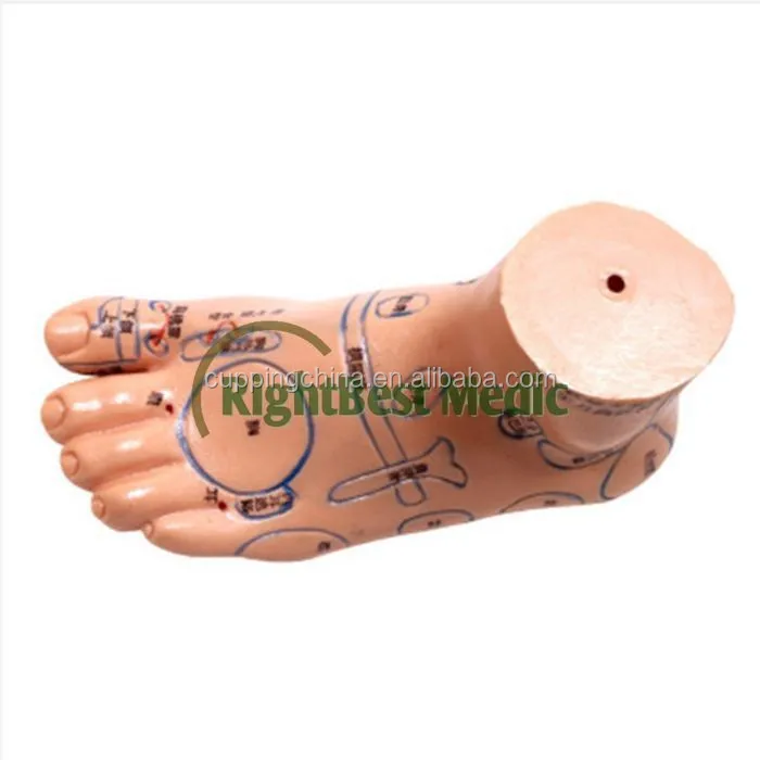 17CM English Medical Acupuncture Model Foot for traditional Chinese therapy medical science Reflexology Zone Model Right &Left