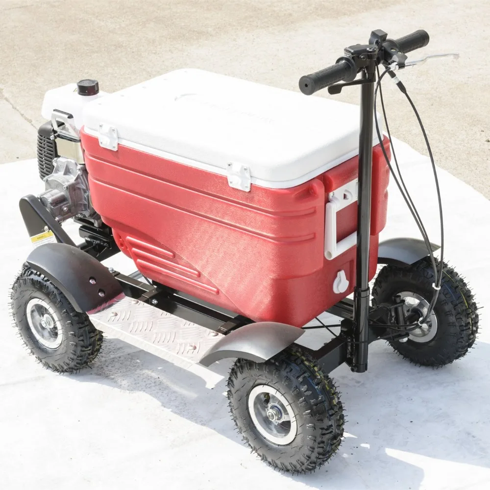 China supplier electric cooler cart scooter