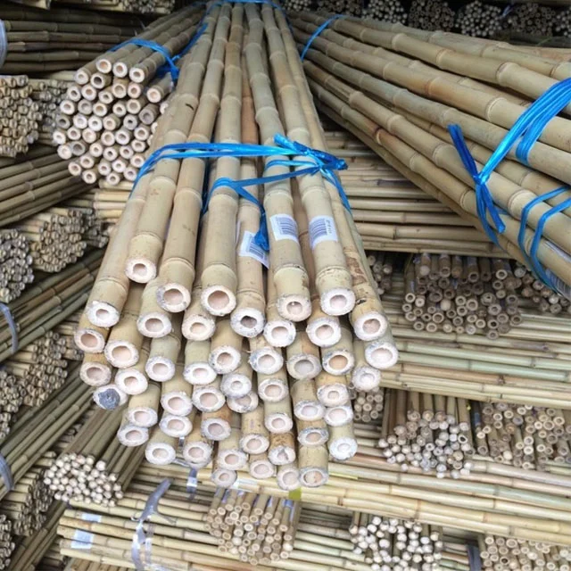 strong garden plant support bamboo pole/sticks/canes.