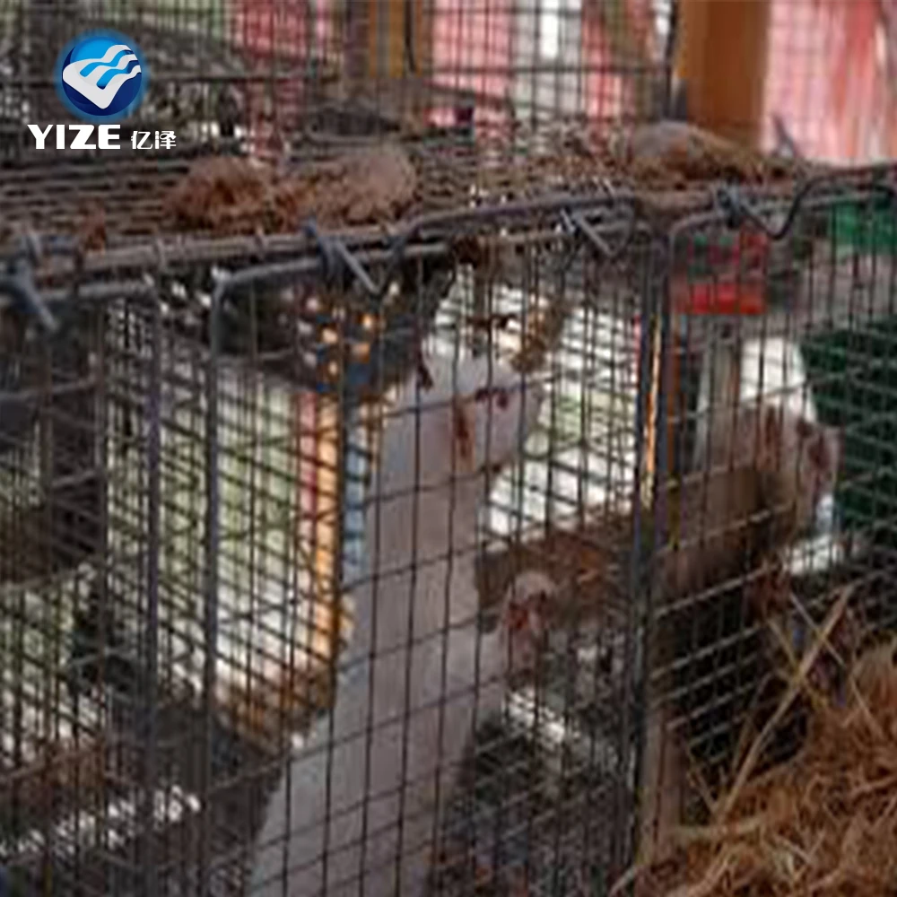 High Quality professional factory animal breeding mink cage