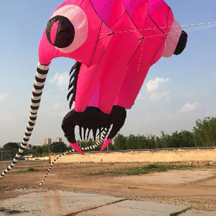 new 3D  mini 2 sqm trilobite design kite flying