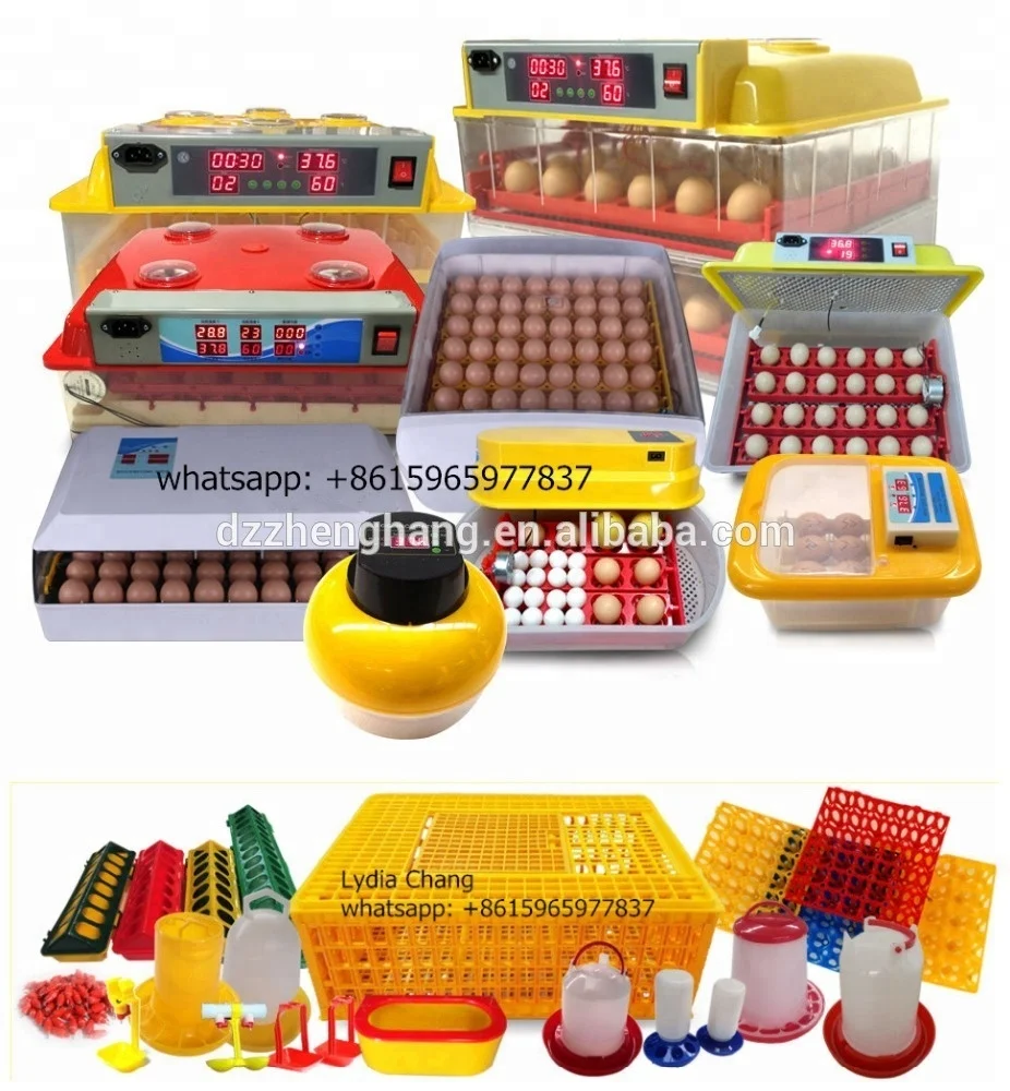 low power consumption chicken egg incubator, quail egg incubator/112 eggs incubator (Lydia WhatsApp:+8615965977837)