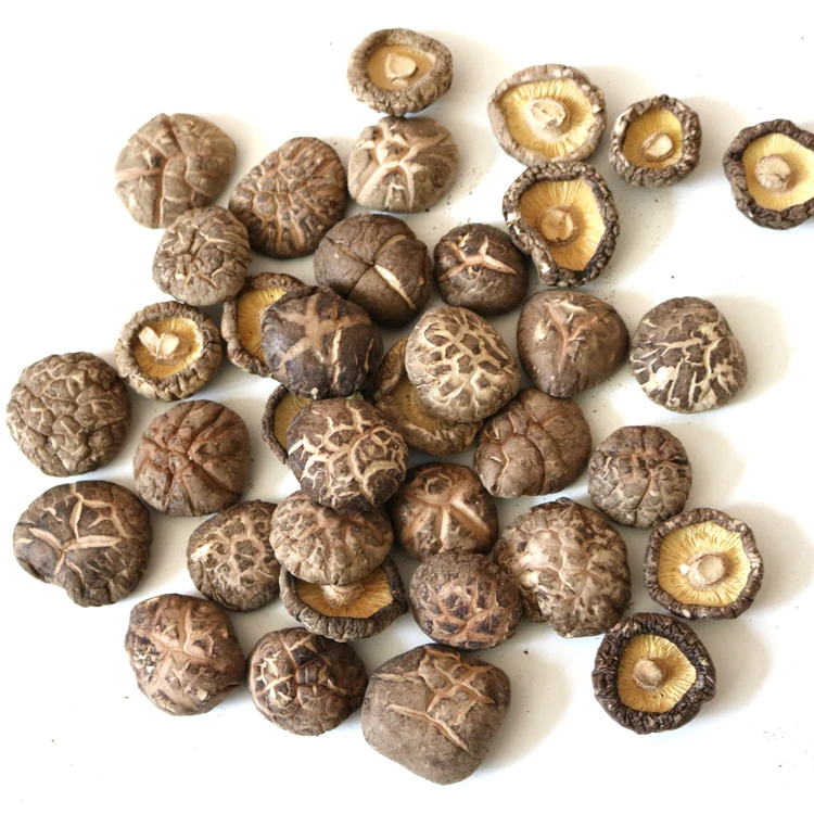
Wholesale Chinese shiitake dried magical shiitake mushroom prices 