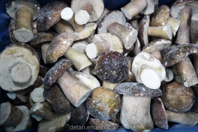Detan Frozen Boletus Edulis in All Types of Mushrooms