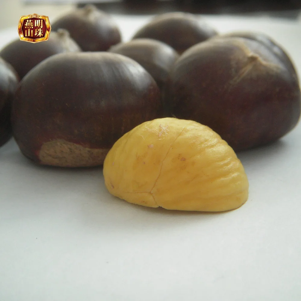 Best Organic 2022 New Crop Sweet Chinese Yanshan Fresh Chestnuts