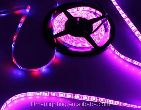 5m RGB 300 LED 5050 SMD 12V flexible light 60 led/m 5050 waterproof LED strip tape