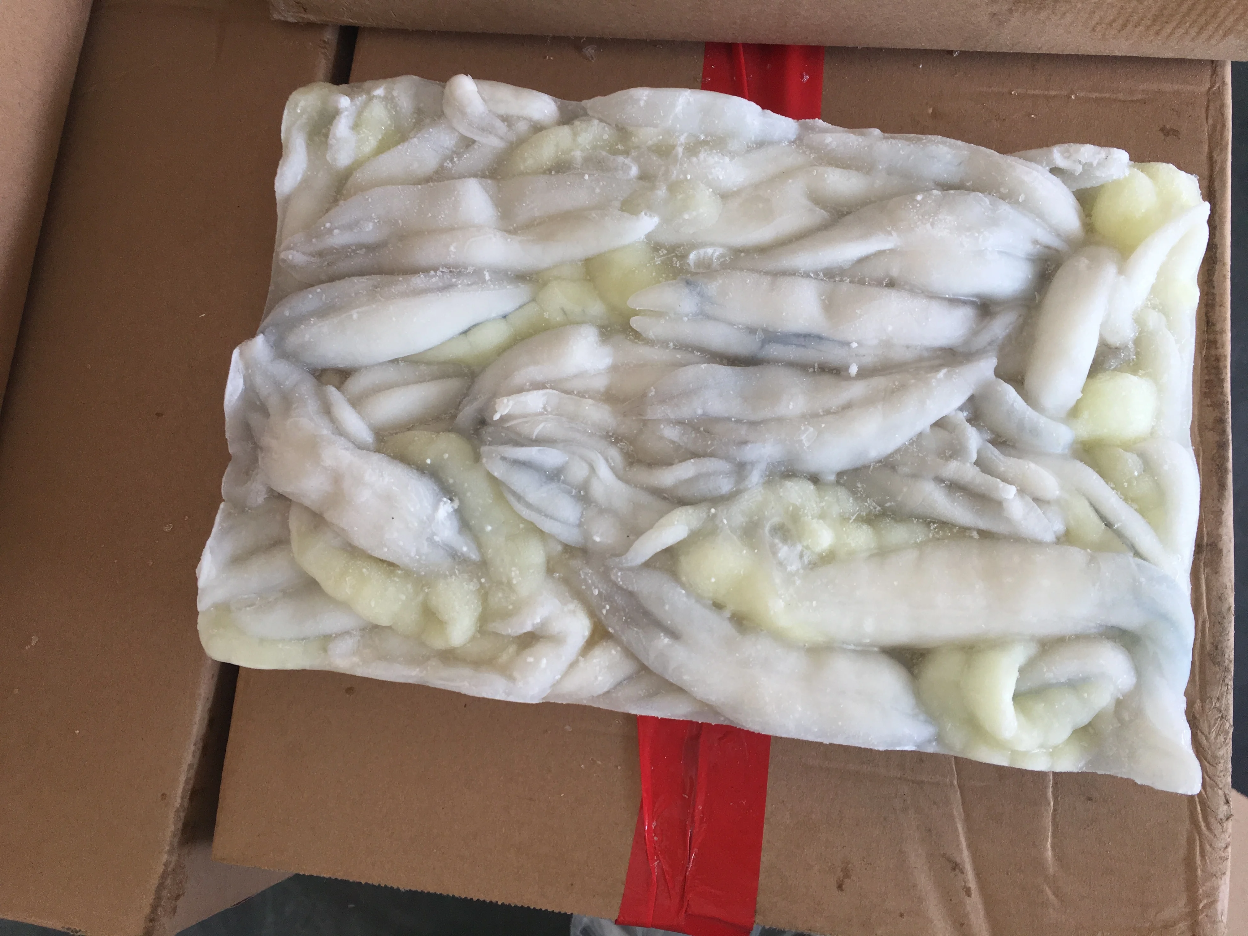 
Frozen Illex Squid Roe/Egg High Quality 