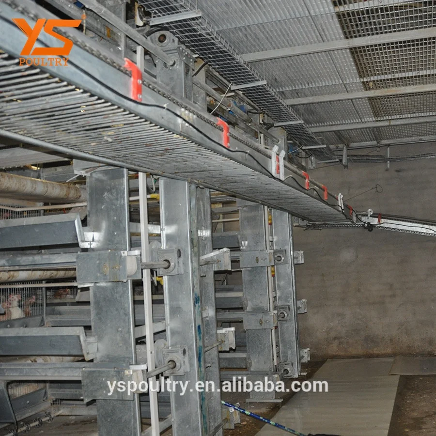 
H Type Automatic Egg Chicken Laying Coop 