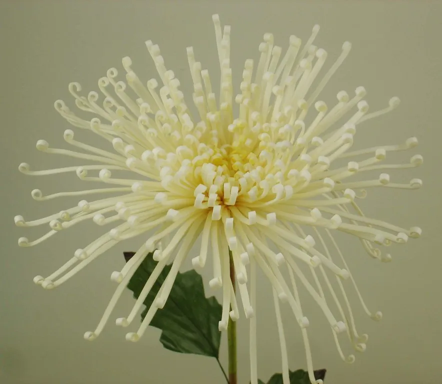 Artificial Foam Fuji Chrysanthemum Mum Pick W/Leaves Foam Flower