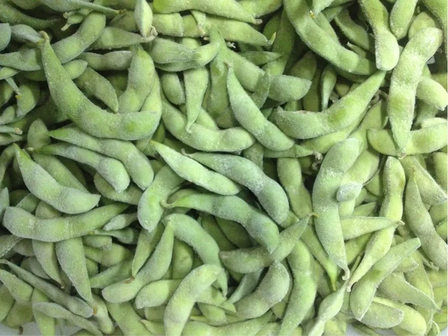 IQF Vegetable ISO Frozen Green Edamame Brands