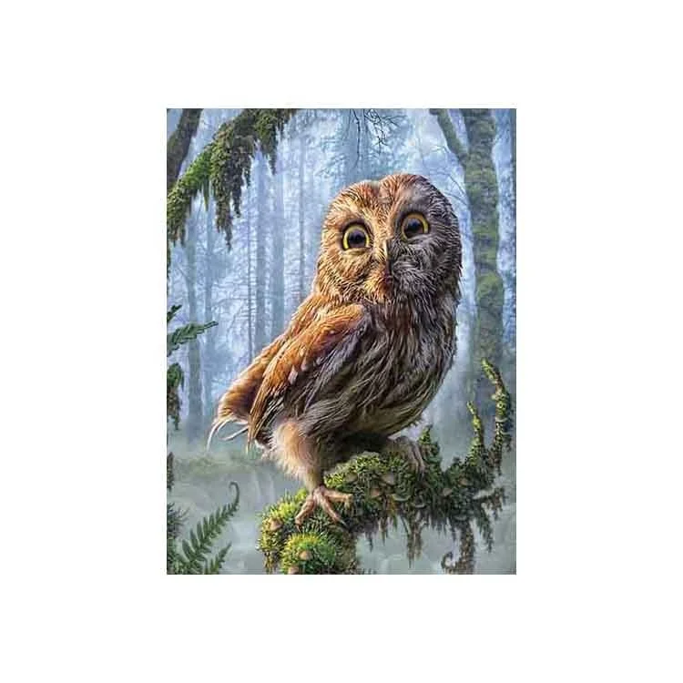 
High definition 3D lenticular picture printing cute owl picture for best price ready to ship 