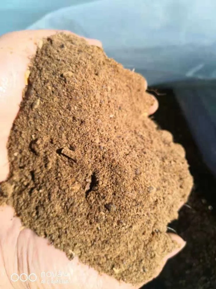 Pork Meat Meal Feed Grade animal feed