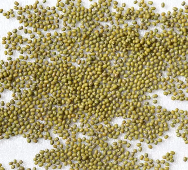 green mung beans hps for food