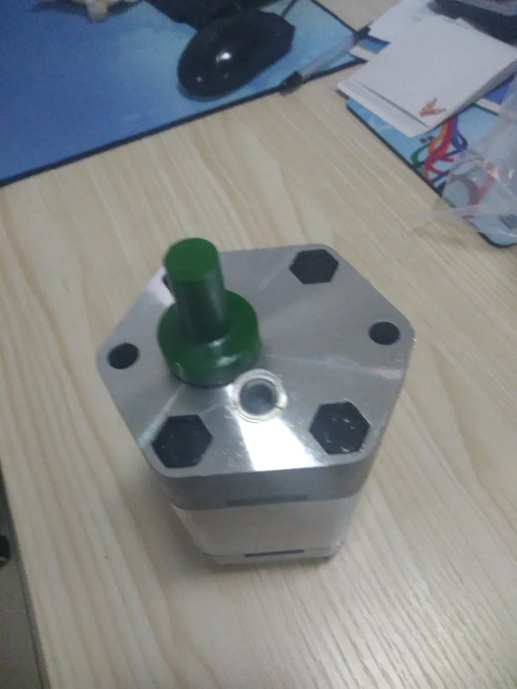 
Small hydraulic gear pump with high quality 