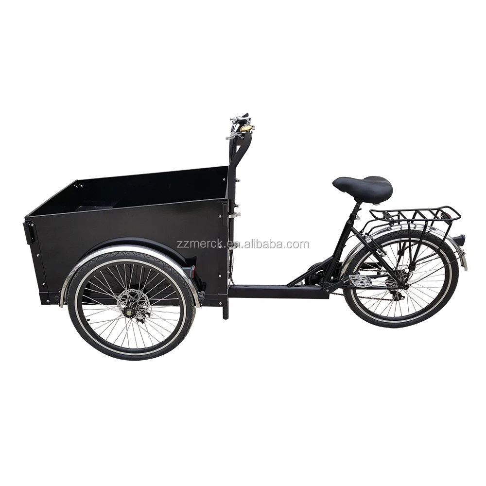 Magazines and Mails Delivery Three Wheel Denmark Electric Trike Cargo Bike for Sale