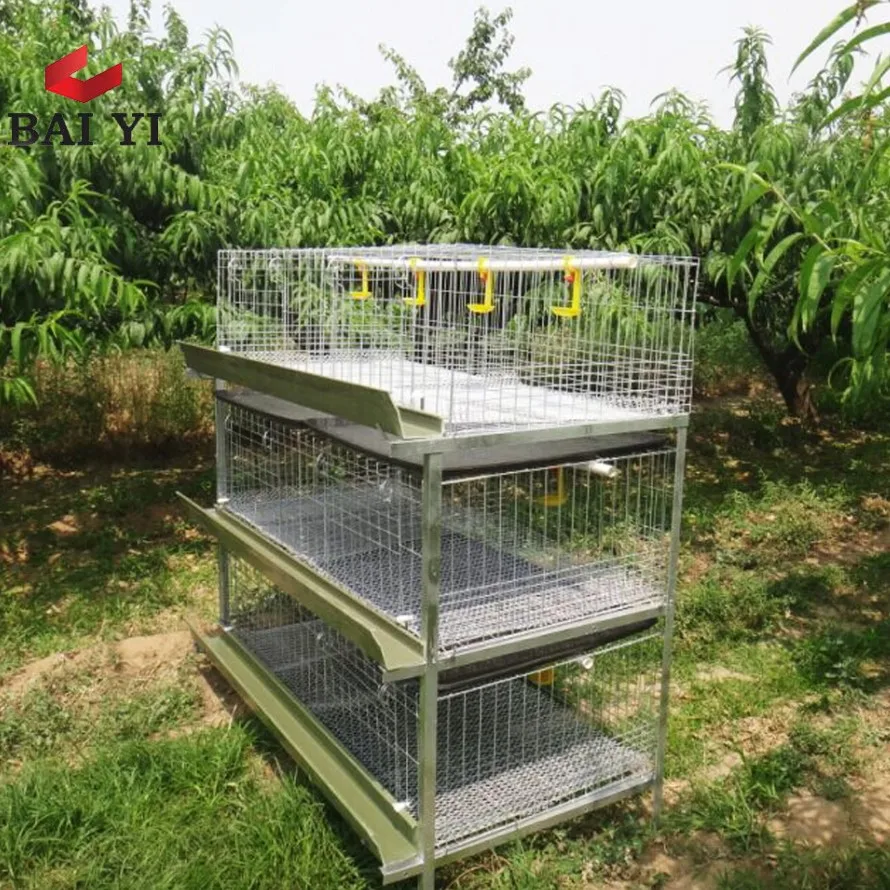 cheap broiler breeder cage for 1000 birds