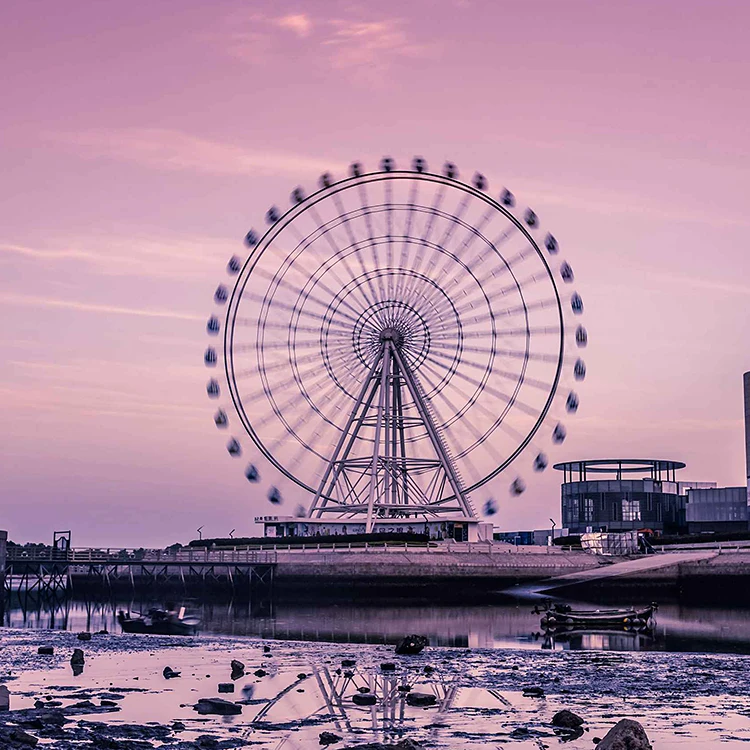 Amusement Equipment Rides Theme Park Game Carnival Machine ferris wheel