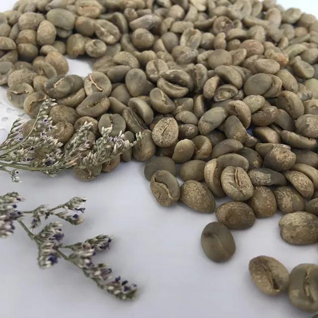 
Chinese yunnan green coffee beans,arabica type,unroasted coffee beans 