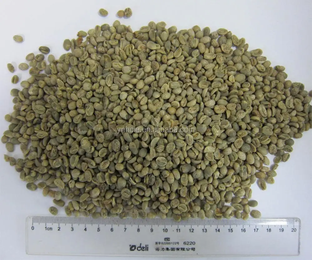Chinese coffee beans,yunnan origin,size:13-15,arabica type,unroasted