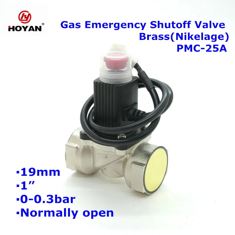 
CE support natural gas LPG gas solenoid valve 