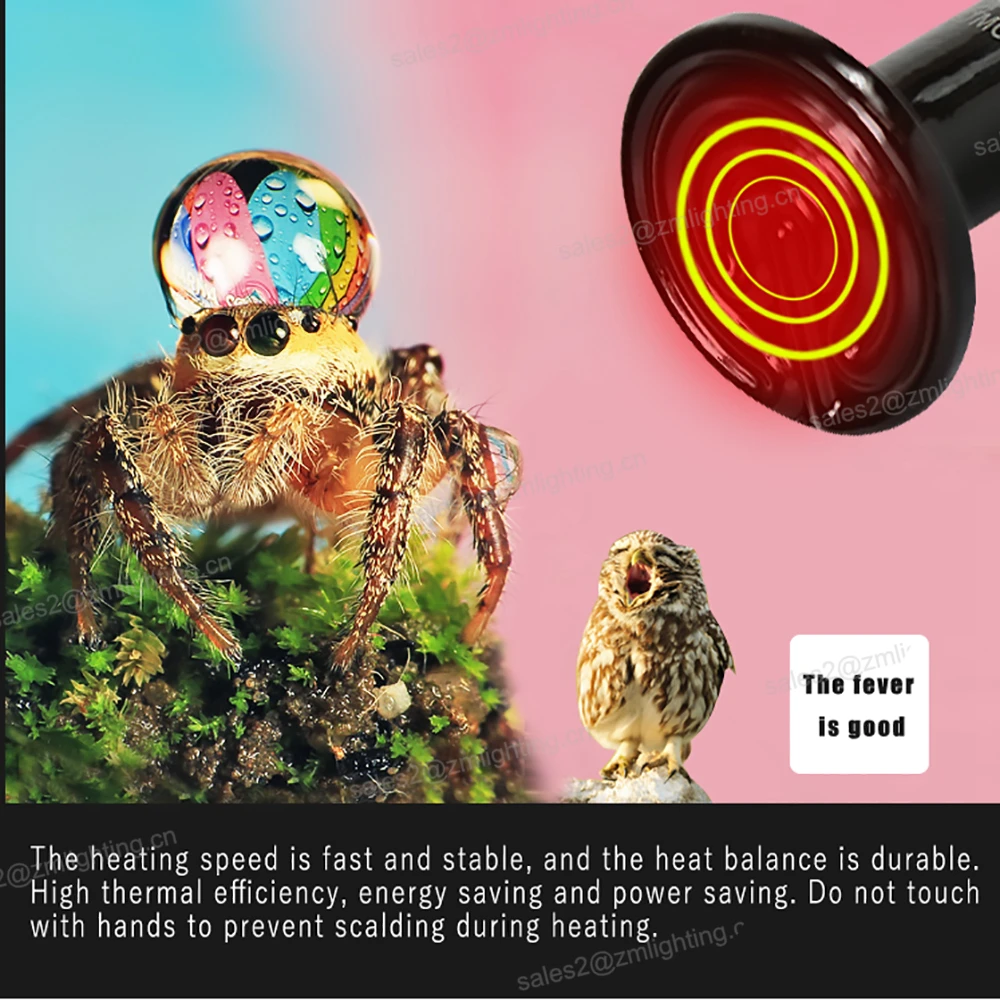 120v 50 w 100w 150W 200W reptile ceramic infrared animal lamp ceramic heater