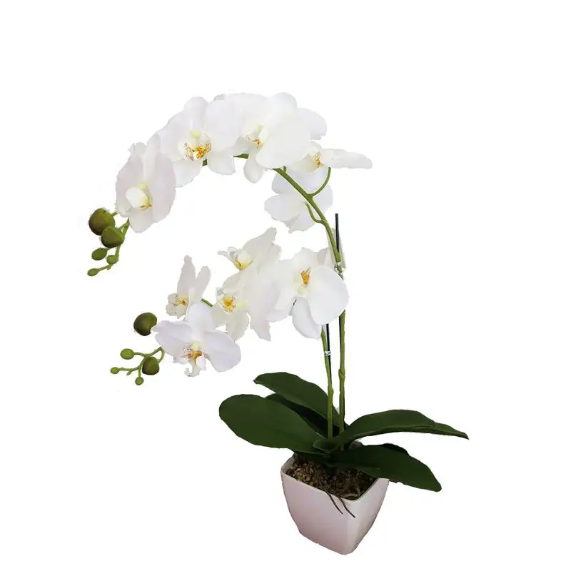 Реалистичная искусственная Орхидея на ощупь с принтом в виде лепестков, 2019