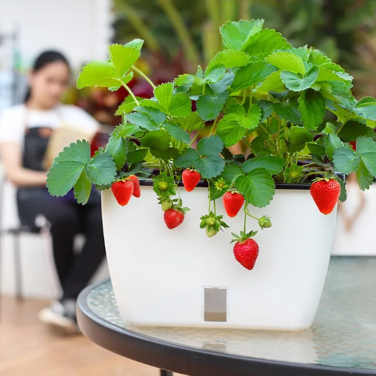 medium size self watering planter pot balcony flower pot automatic lazy pot