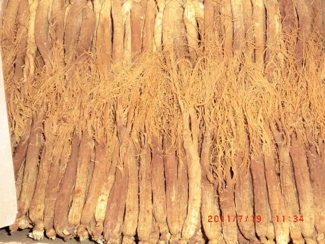 
100%natural Korean RED GINSENG ROOT WITH TAILS/Ginseng root extract 