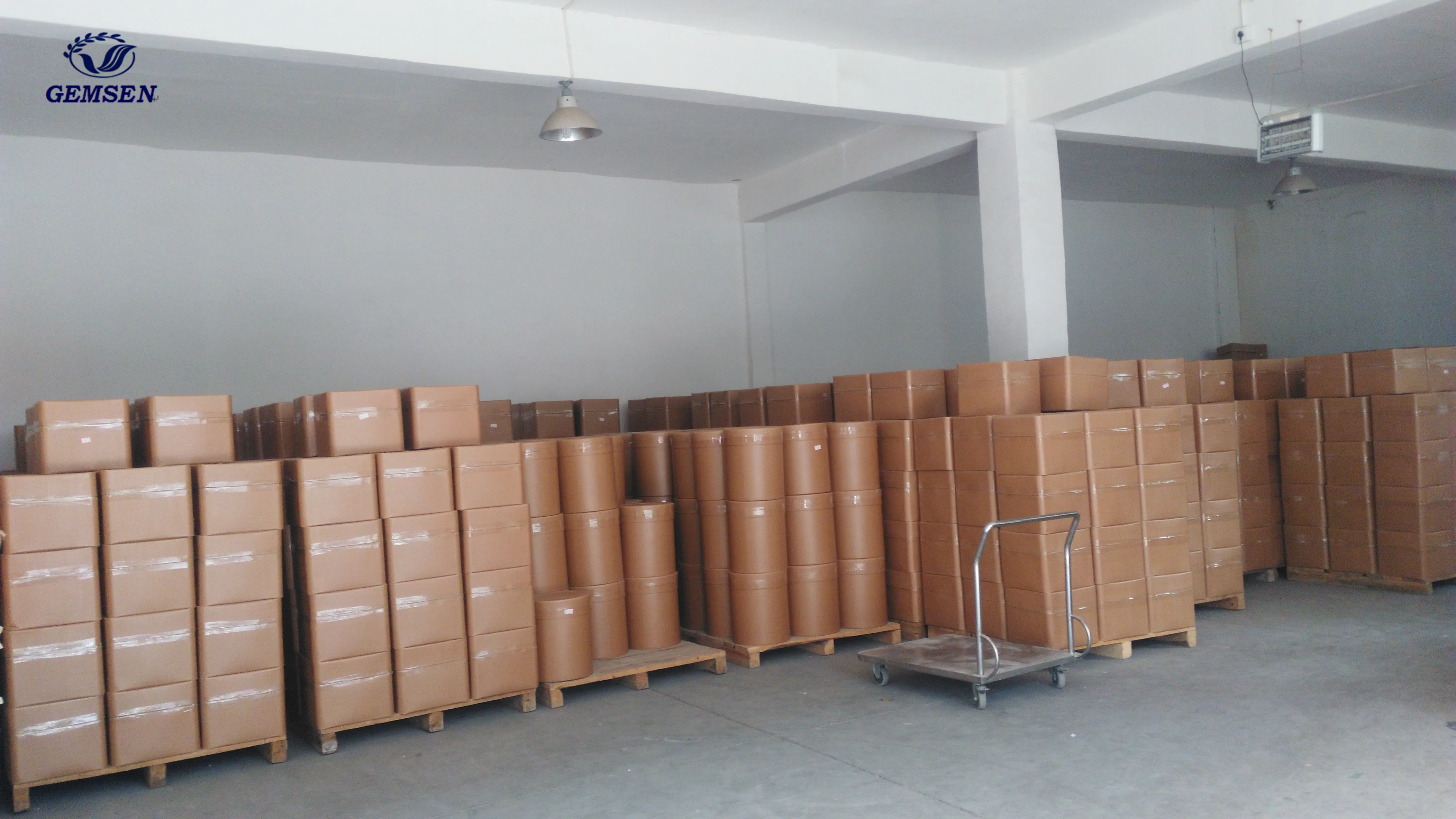 Hot Selling Plant Extract Acacia Gum Arabic Powder Arabic Gum Price