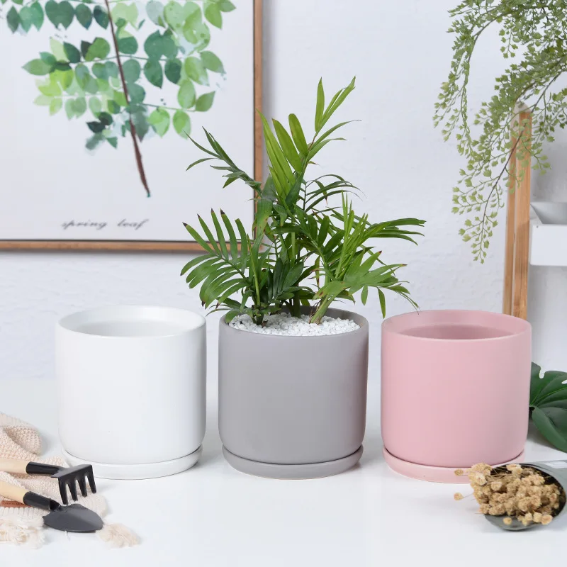 APHACATOP 4 Sizes Ceramic Matte Surface Cylinder Ceramic succulent planter pot