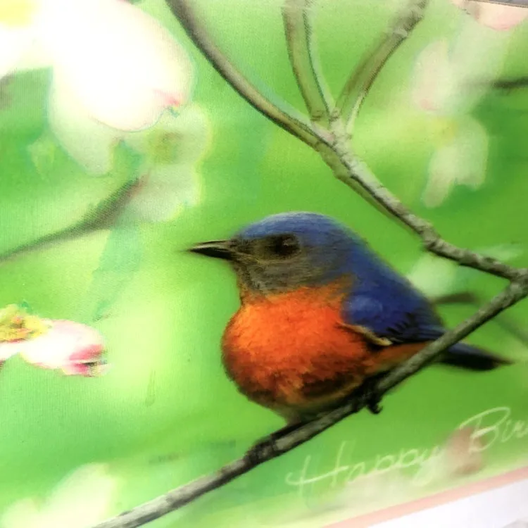 Wholesale custom Popular 3d lenticular sheet picture printing cheap 3d pictures 3d lenticular lens 3D flip postcard for gifts
