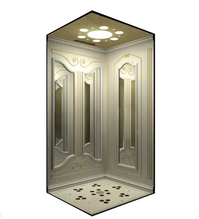 
Luxury design ALD villa house home elevator lift 