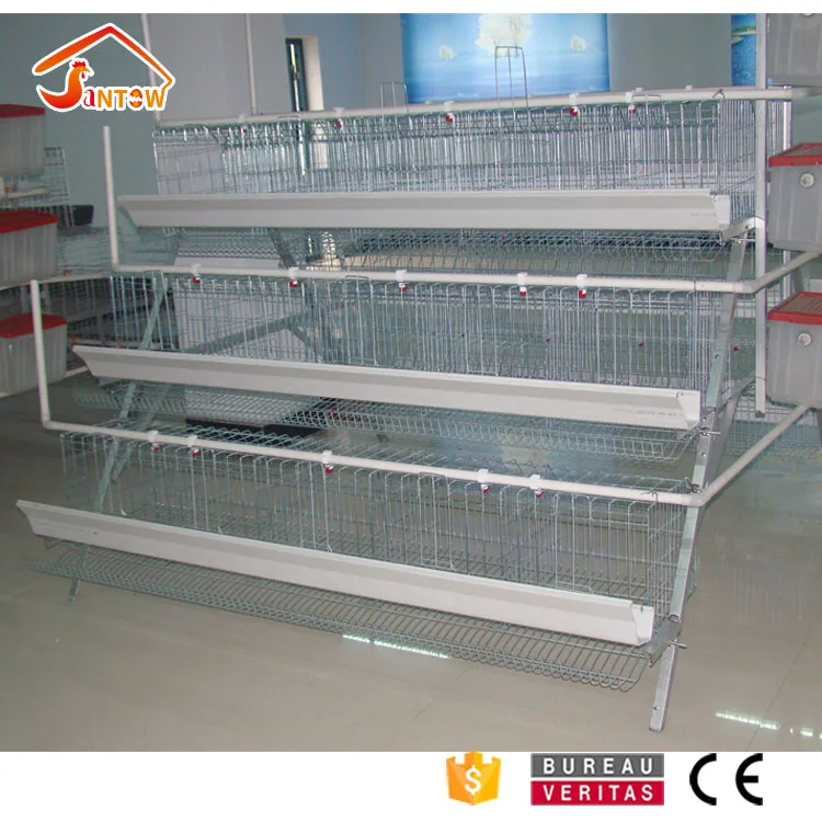 Automatic chicken cages hot galvanized poultry cage cheap price breeder cages birds for layer farm design