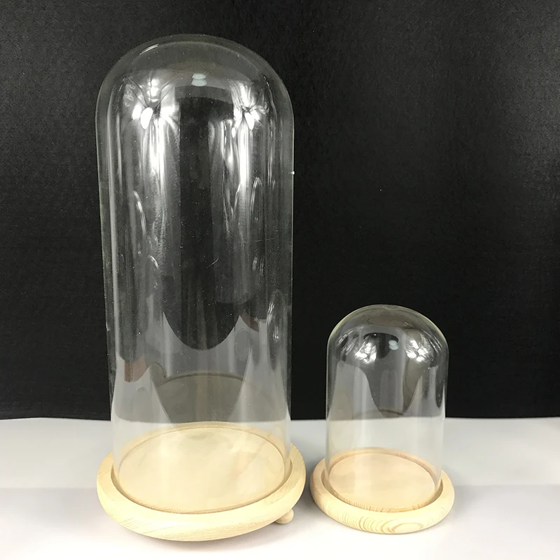 
OEM Factory Directly Glass Plant Terrarium High Quality Display Glass Dome Wholesale Glass Dome with Wooden Base 