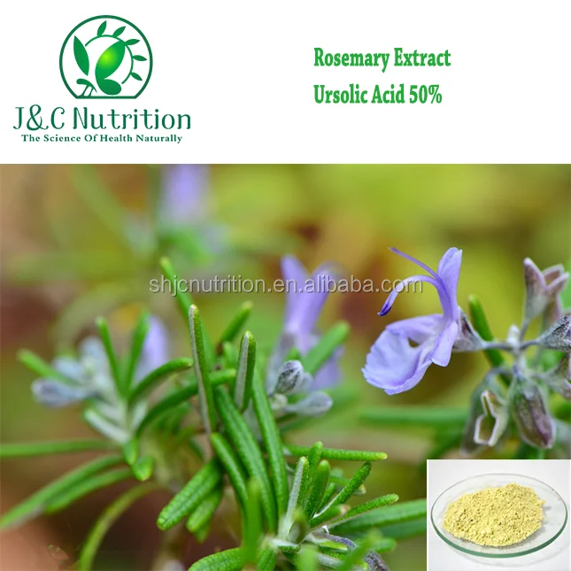100% natural high quality and low price 25%~98% ursolic acid from Rosemary extract