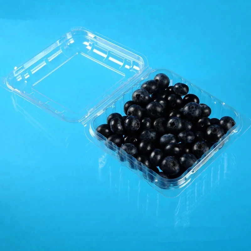 Disposable Clamshell Plastic Blueberry Container Clear PET Packing Box For Fruit Raspberry Food Grade