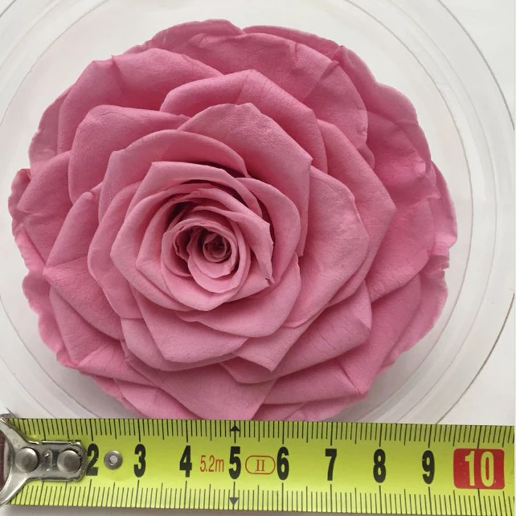 
Big pink rose bud size 9-10cm preserved flower material natural preserved roses for innovative birthday gifts in box 