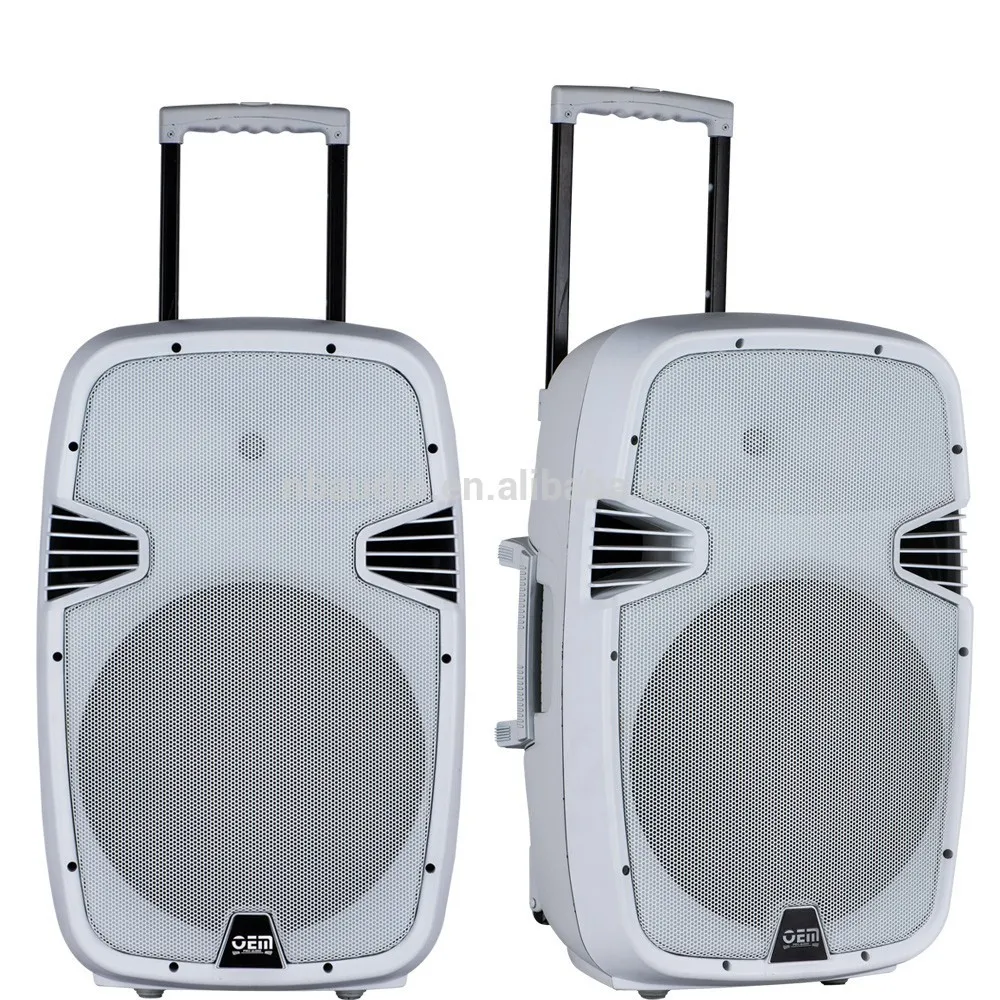 made in china plastic cabinet 12 inch window speaker