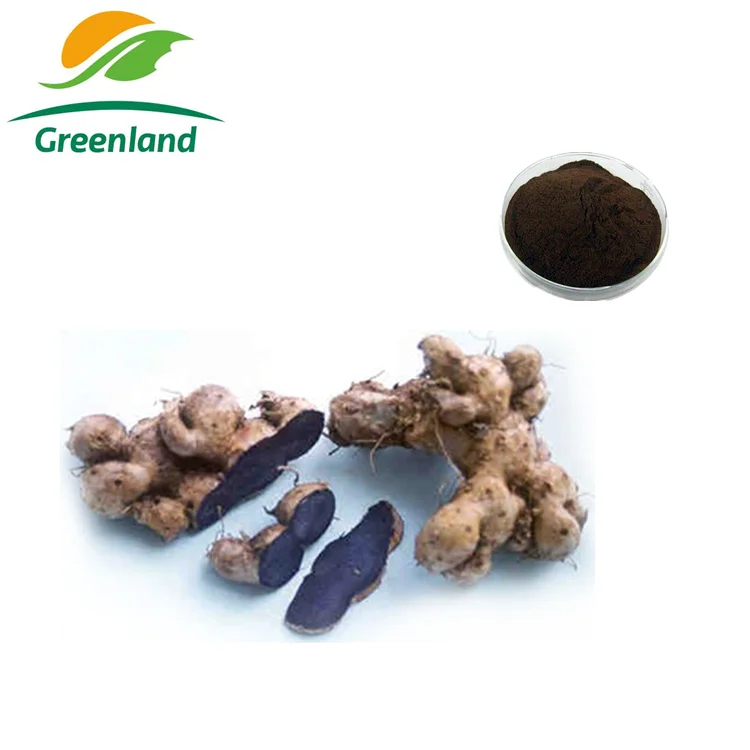 Factory Supply 100% Natural Kaempferia Parviflora Extract