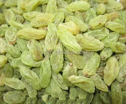 
chinese sun dried xinjiang green raisins for export 
