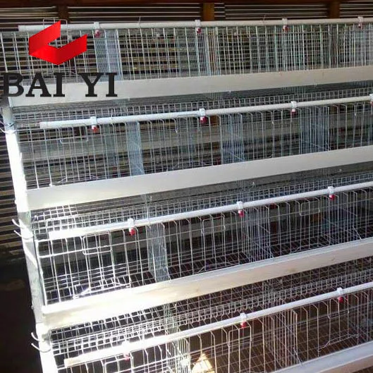 Wholesale Battery Chicken Coops and Equipment Poultry Algeria