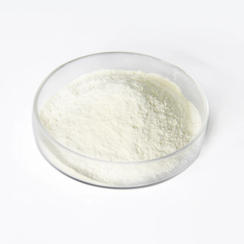 
food ingredient Raw material probiotics bulk Streptococcus thermophilus powder 